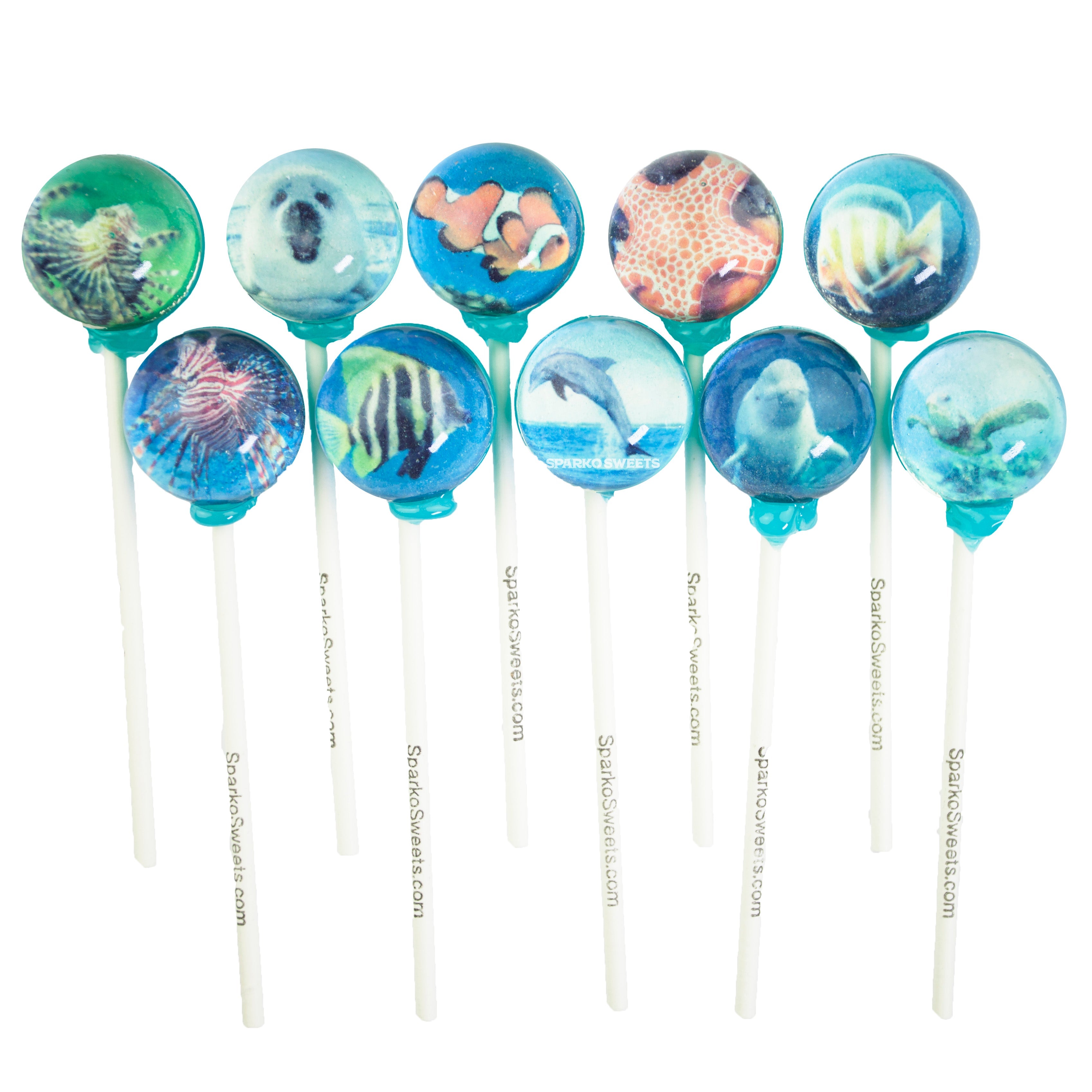 Aqua Picture Lollipops (10 Pieces)